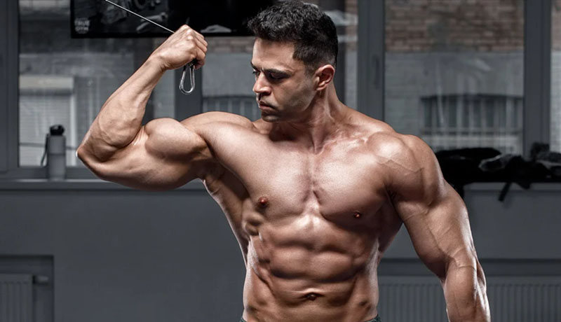 How to Increase Bicep Size Quickly