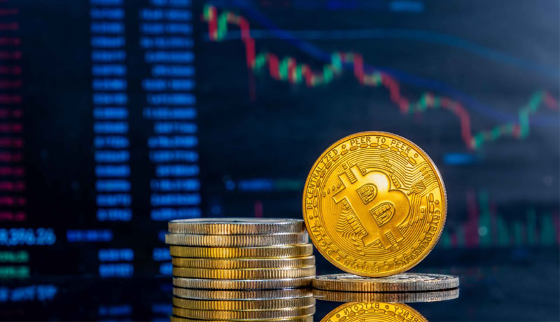 What are the some Risks in Investing in Cryptocurrency?